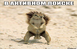 Аватарка ChatOK много анекдотов Супер сменых и веселых игры юмор события кухня